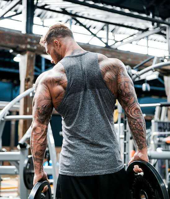 Training Bodybuilding Breathable Stretch T-shirt